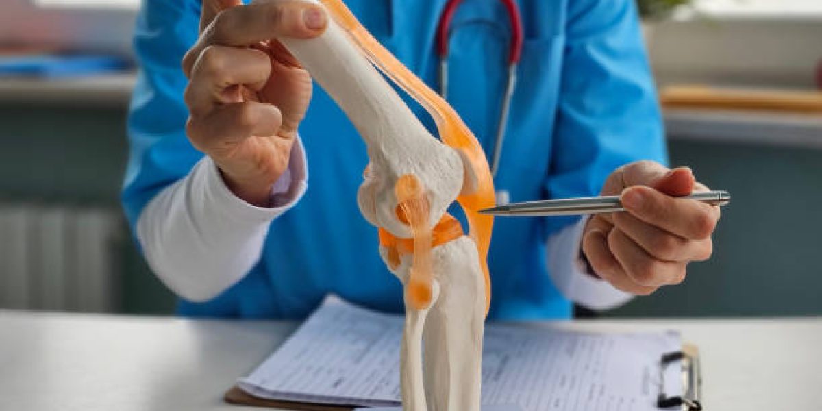 Doctor shows anatomy of structure of human knee joint